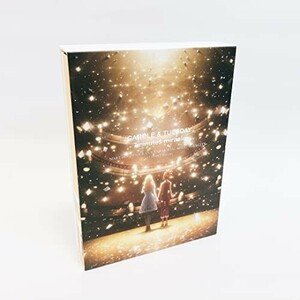 「キャロル&チューズデイ」Blu-ray Disc BOX Vol.2 [Blu-ray]