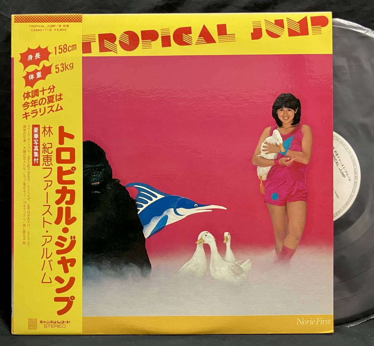 林紀恵