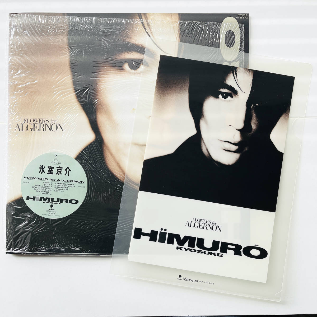 氷室京介 flowers for algernon