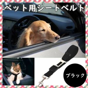 犬 猫 シートベルト ブラック ペット ドライブ 車 リード ゲージ