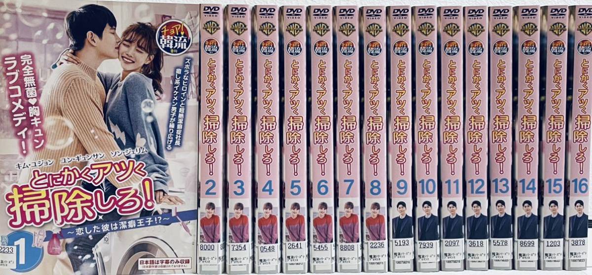ホン・チョンギ 【全16巻】 レンタル版DVD 全巻セットアン・ヒョソプ