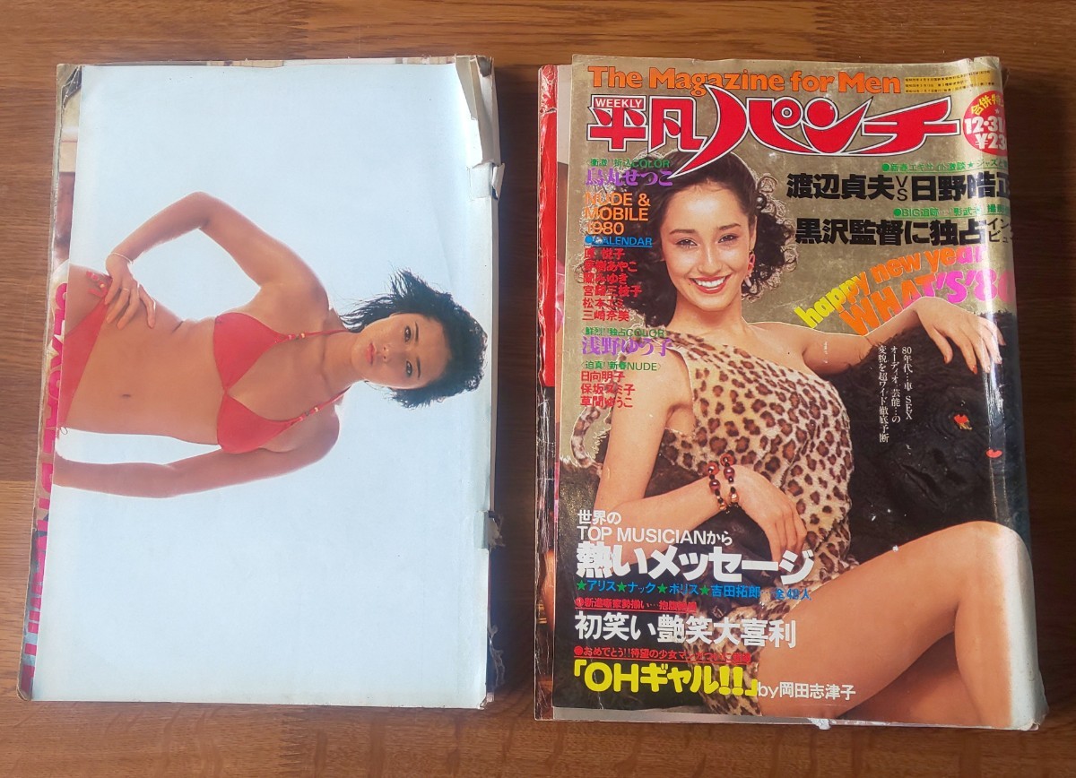 激写篠山 1981年 ヌードカレンダー 篠山紀信 青木ひろみ 稲田