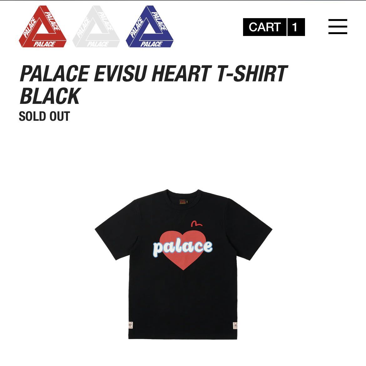 palace skateboards t