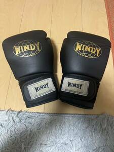 WINDY ボクシンググローブ 14oz 格闘技 フィットネル ボクシング キックボクシング グローブ スパーリング