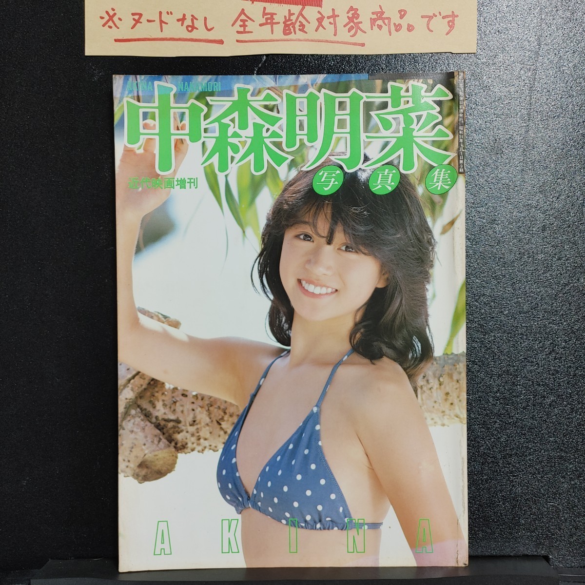 中森明菜写真集