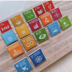 SDGs ピンバッジ　スクエア　単品販売　国連本部純正品