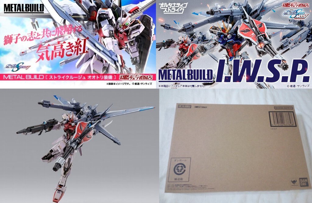 METAL BUILD IWSP