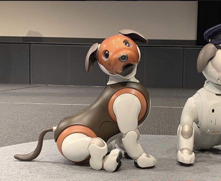 aibo やまちゃんさん専用 - その他