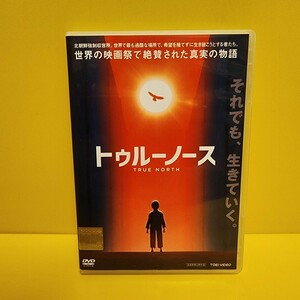 トゥルーノース(20日/インドネシア)DVD (透明)