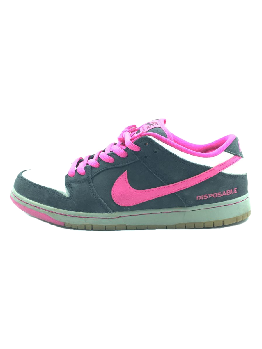 Dunk low pro 29