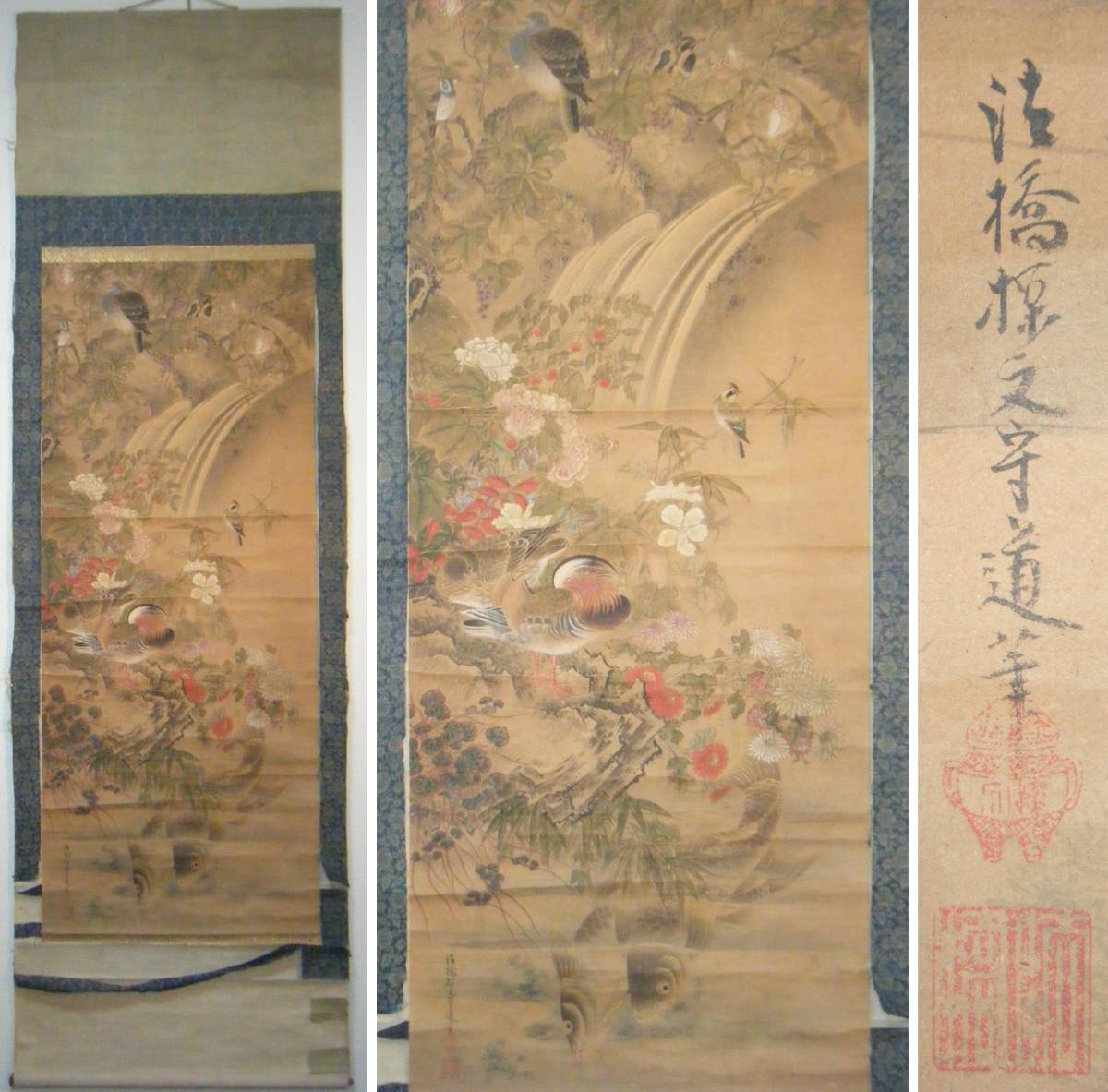 狩野養信筆 尾形袍祝花鳥画写 絹本掛軸一幅 肉筆画 晴川法眼自題箱極め 