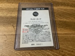 カルビー　シン仮面ライダー　カード　ラッキーカード　No.116