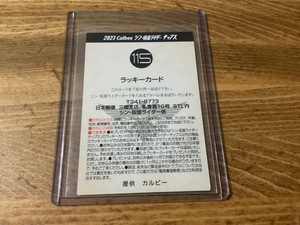 カルビー　シン仮面ライダー　カード　ラッキーカード　No.115