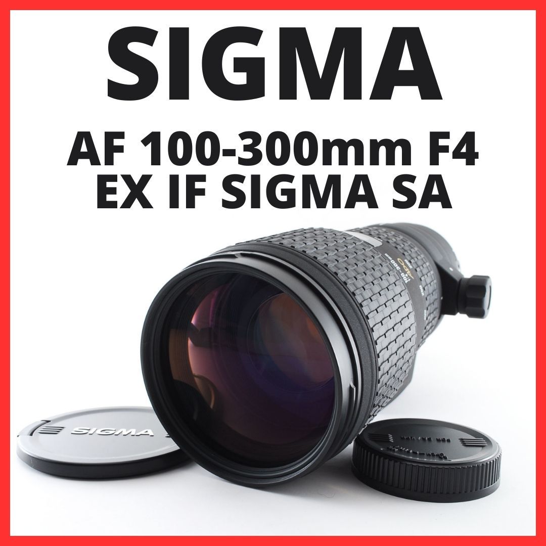 sigma ex 300