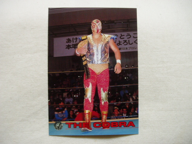 新日本プロレス・ビデオ1989年3月16日横浜 藤波辰爾VSジェリー