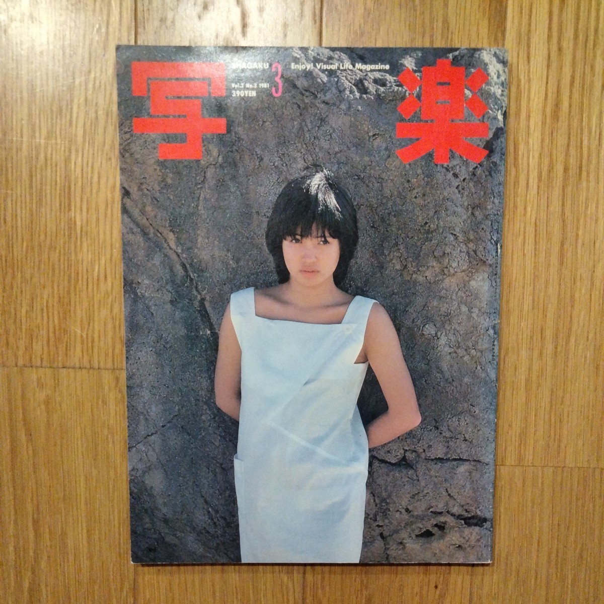 気質アップ】 岡田有希子（ヘアand）ビューティ 別冊Ｖｉｖｉ１９８４ 