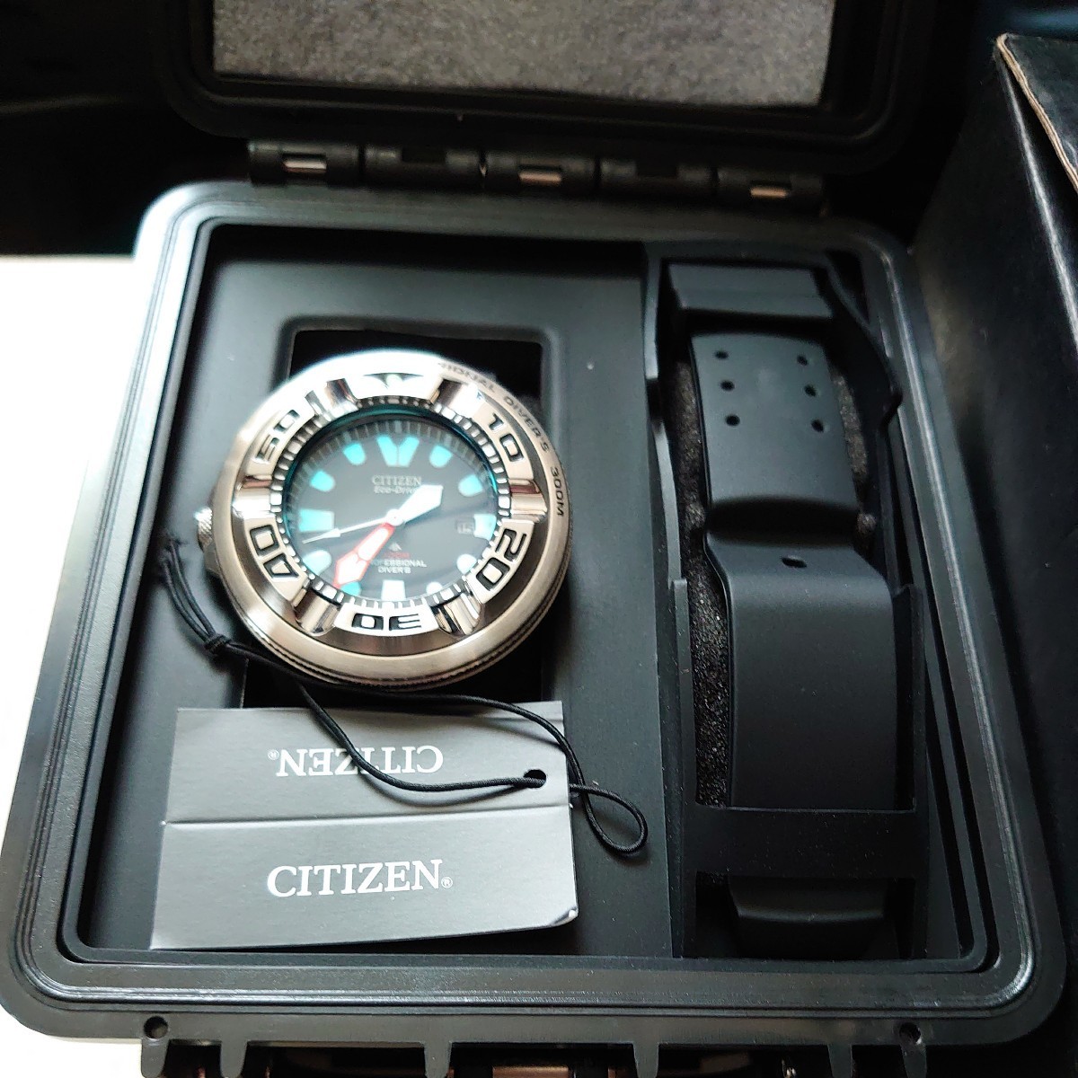 希少！ シチズン CITIZEN プロマスター PROMASTER エコジラ エコ