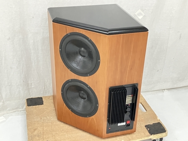 Ra42 APOGEE AE-12s2 SUBWOOFER ペア 品-