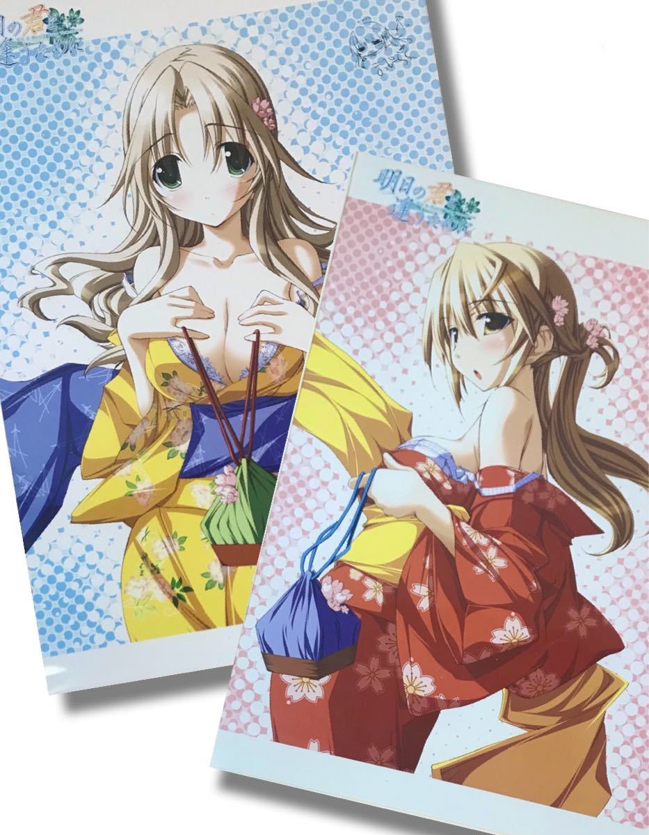 【非売品】明日の君と逢うために パープルソフトウェア 両面 B2 ポスター 明日の君と逢うために They will be born TOMORROW キャラクターソング