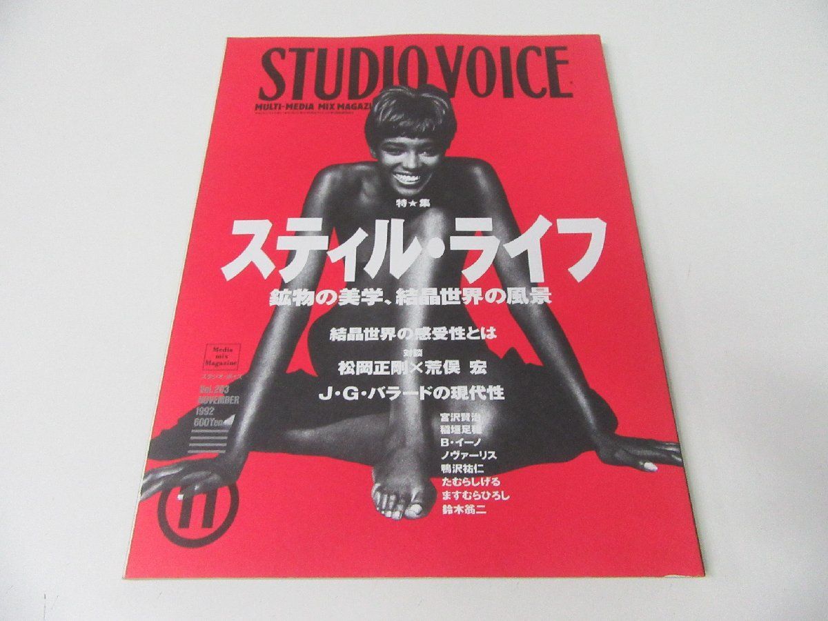 Studio voice 11