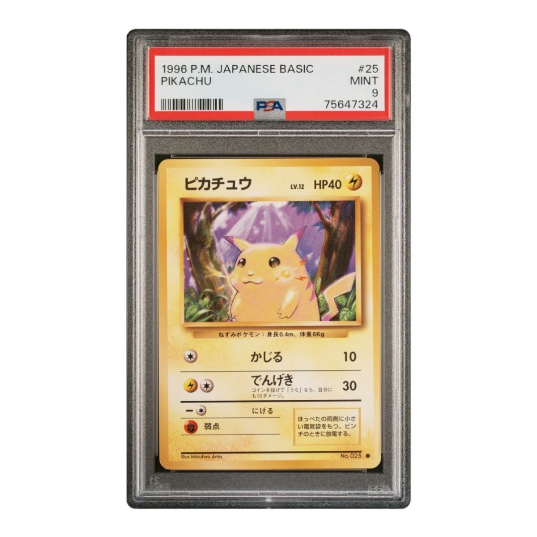 Pikachu psa 9