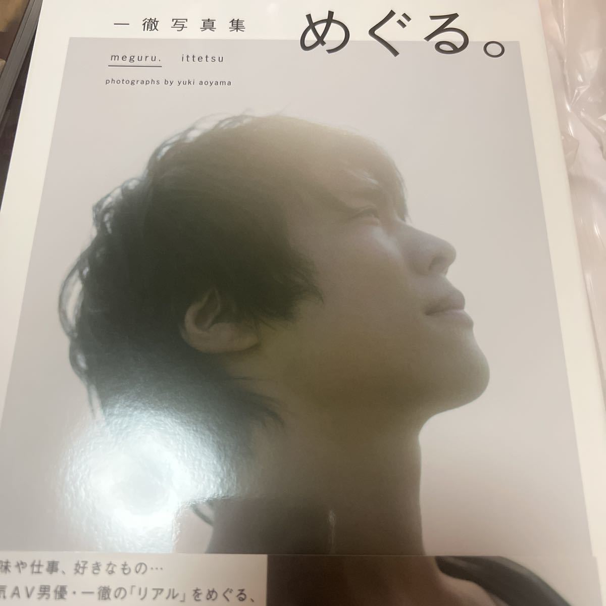 鈴木一徹 写真集 めぐる 特典DVD - タレントグッズ