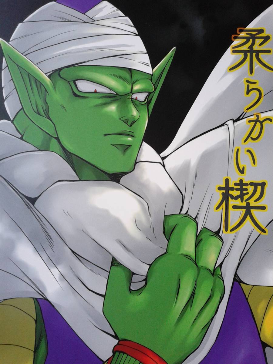 ドラゴンボール同人誌（DRAGON