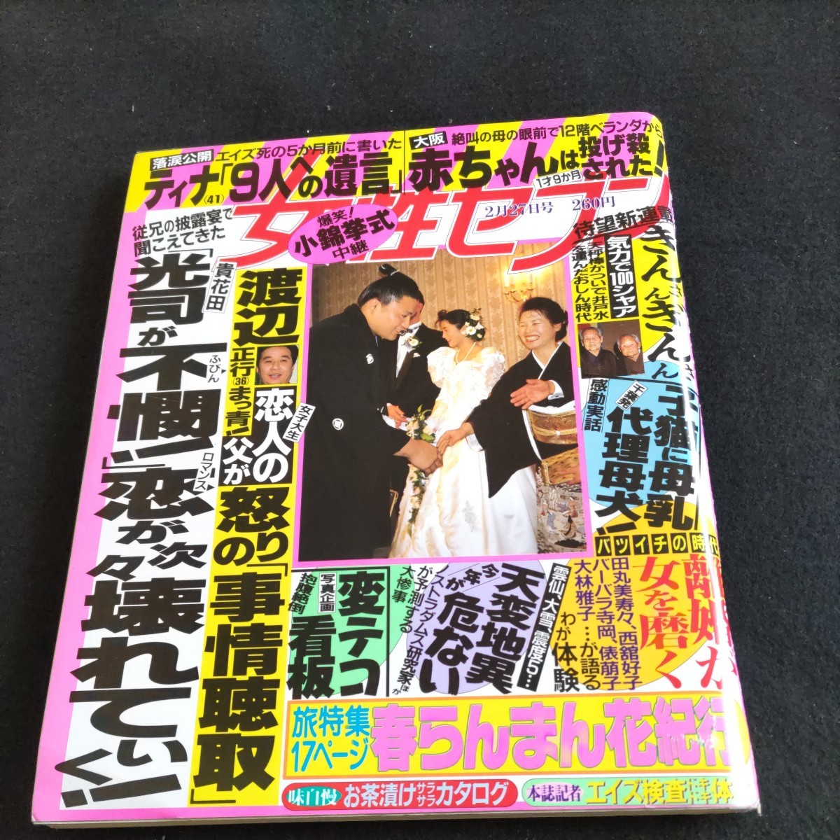 ソフトウェアプログラム 陣内孝則 疵 DVD 藤谷美和子 ジョニー大倉