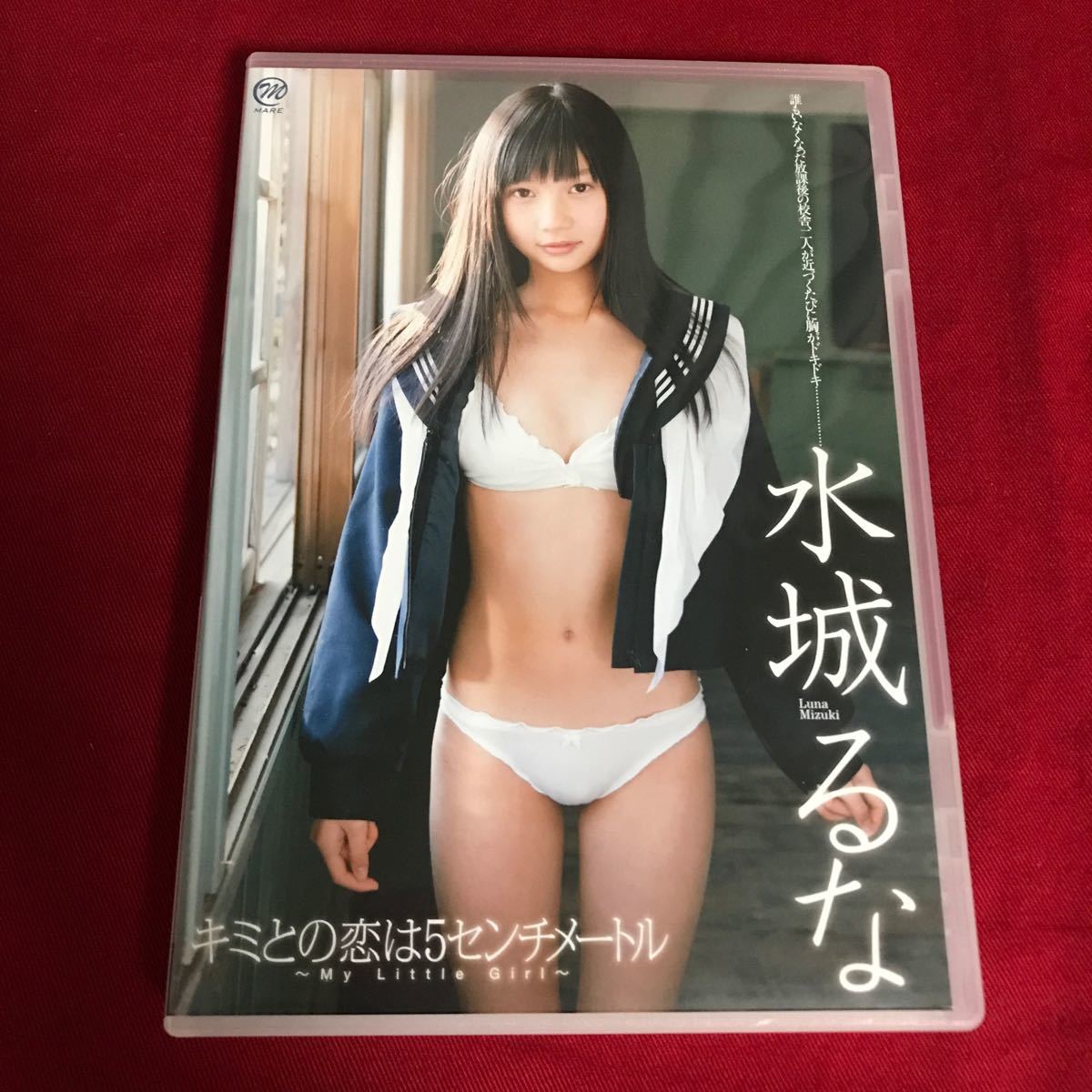 ☆水城るな DVD【ジュニア論】☆ - DVD