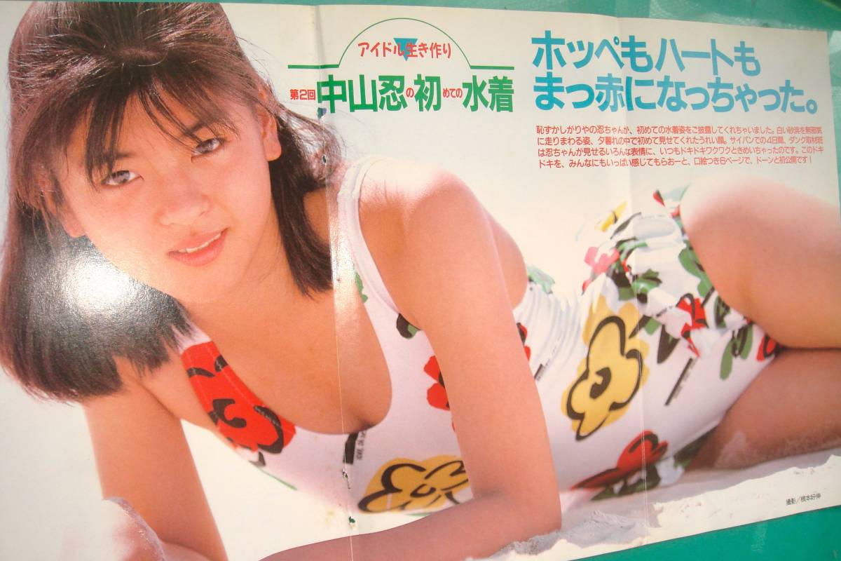 中山忍！酒井法子！桜井幸子！ribbon！水着！Cotton！石田ひかり！細川直美！本田理沙！西野妙子！西村知美！河田純子（ふろく:管理F7212）  - その他