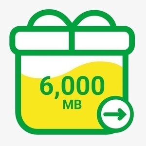 6GB mineo パケットギフト 6000MB☆即決