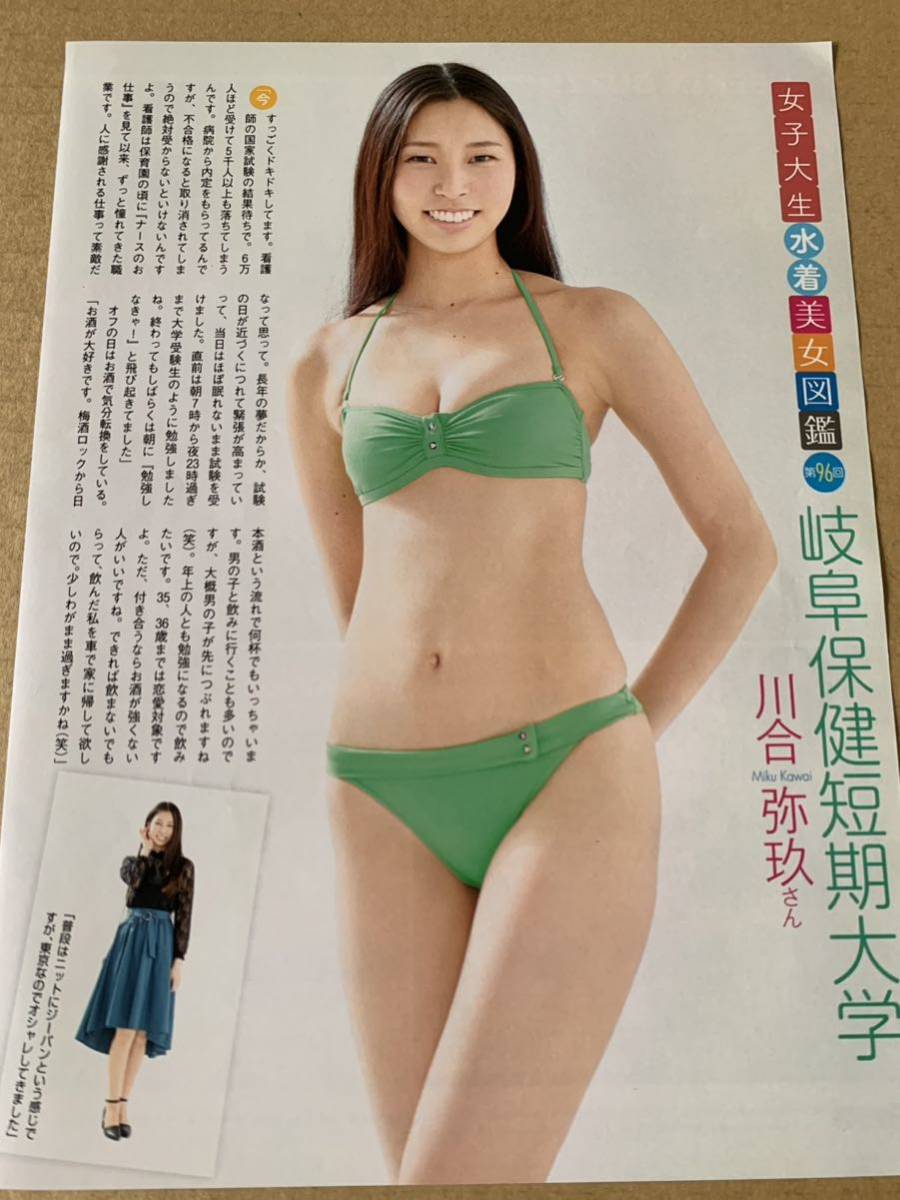 女子大生水着美女図鑑 詰め合わせ 6名分 - 雑誌