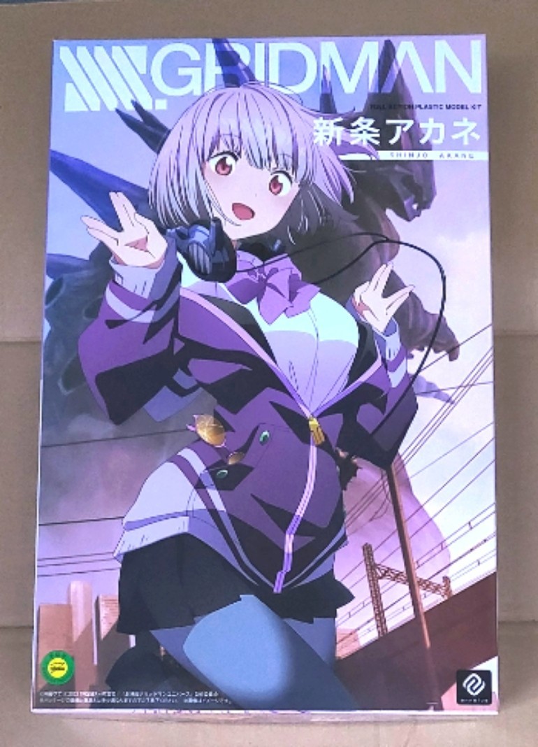 ssss.gridman 新条アカネ