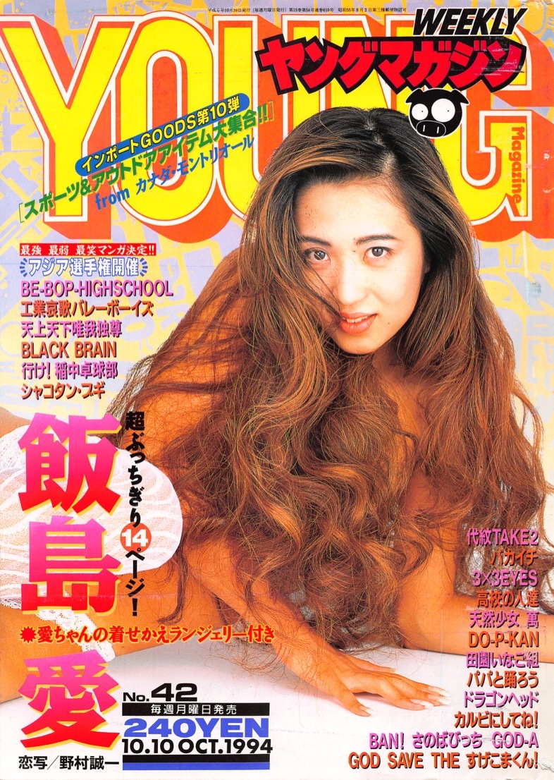 飯島愛カレンダー 1994年代 - アート/エンタメ