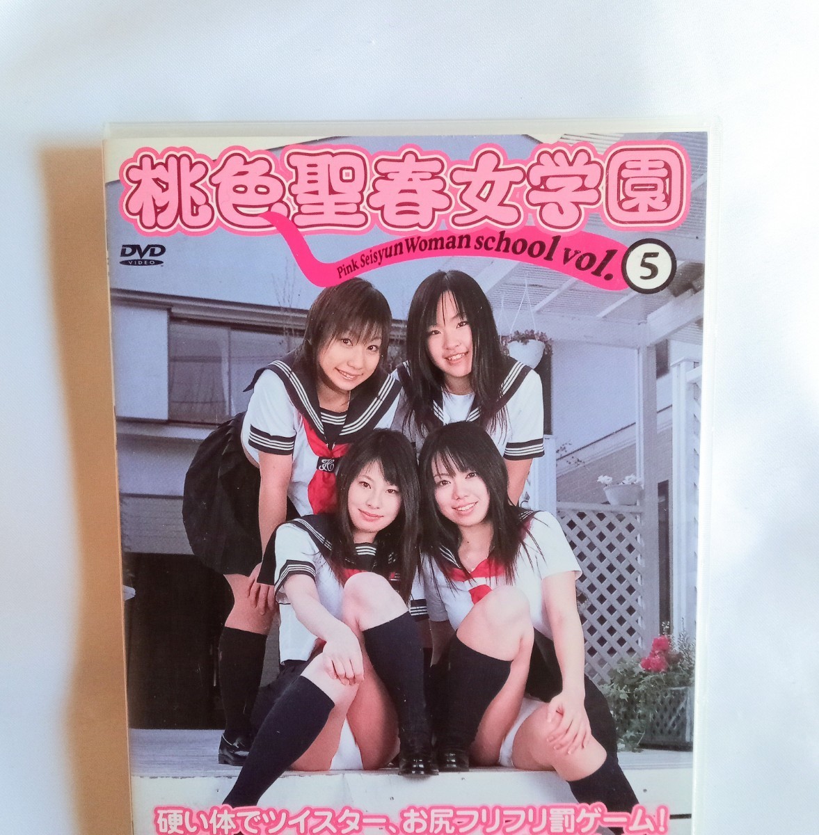 桃色聖春女学園 温泉T合宿編 荒木のぞみ 莉奈 本橋智子 一色琴美 七瀬愛 イメージ DVD - DVD