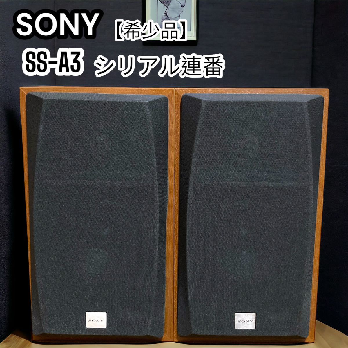 西九州新幹線 良品 SONY ソニー SS-A5 番号連番 - オーディオ機器