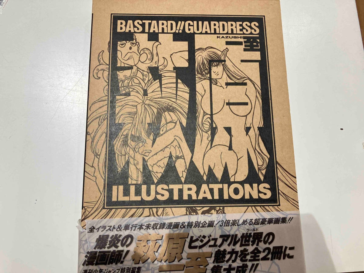 バスタード BASTARD!! 暗黒の破壊神 完全版 萩原一至 画集 同人誌 