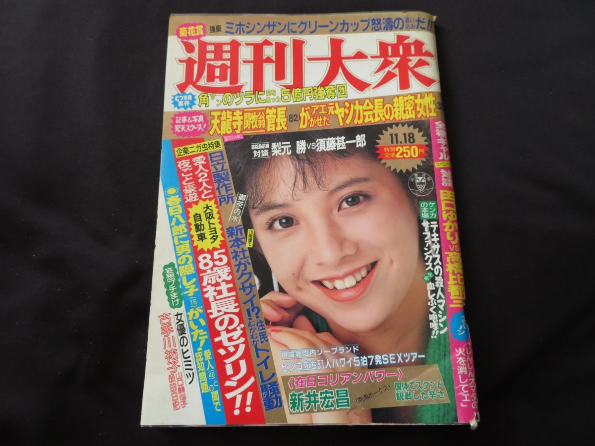 □明星 ヘアカタログ 1981年 河合奈保子 松田聖子 石野真子 桜田淳子 