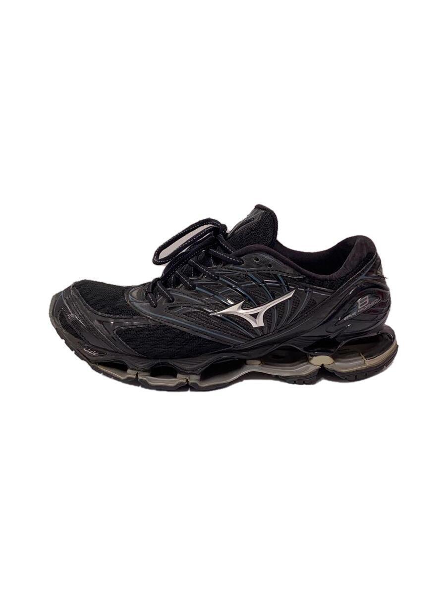 Mizuno wave prophecy