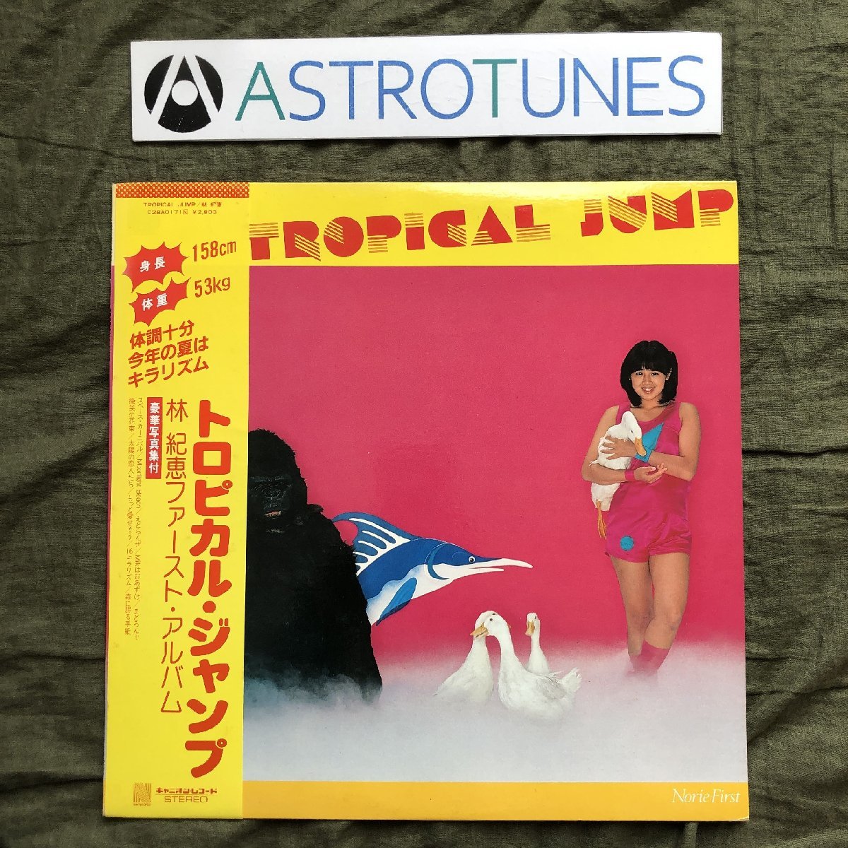 林紀恵