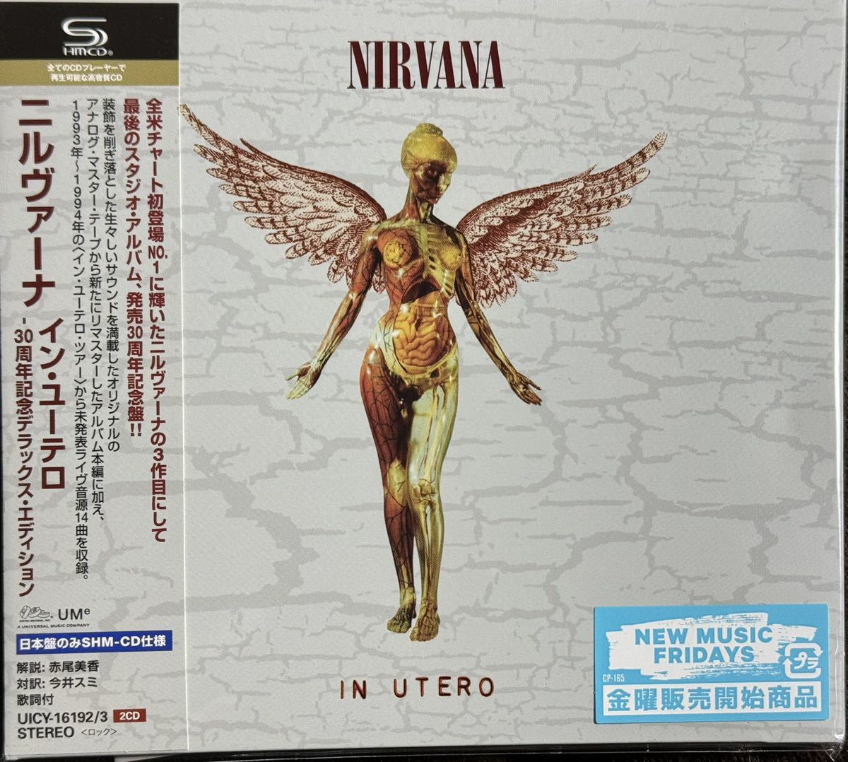 nirvana CD