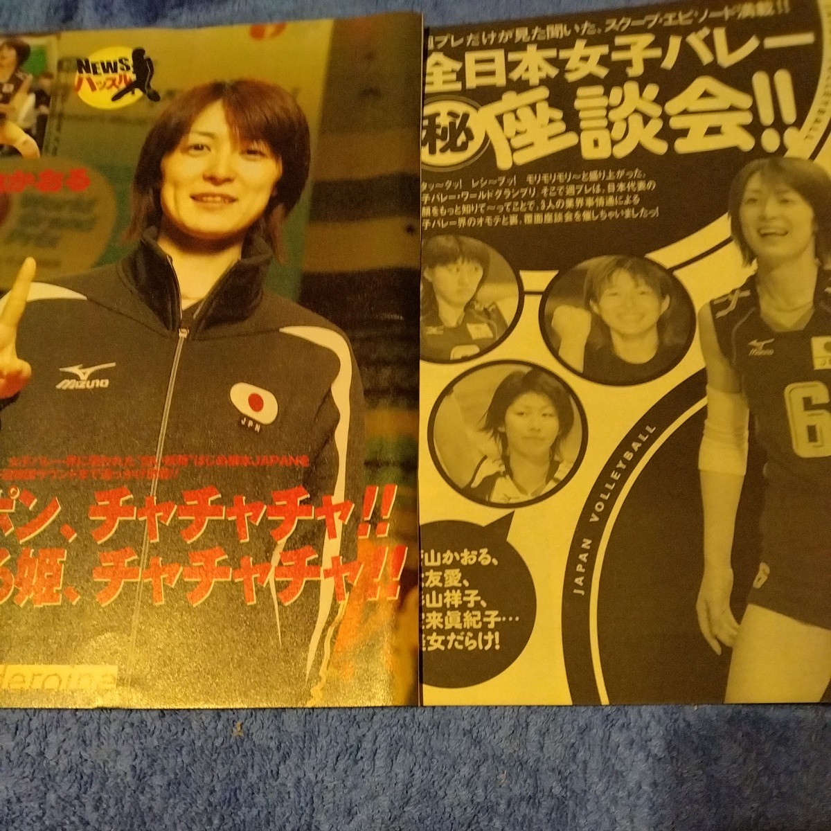 平成16年 2004全日本女子バレーボール サイン色紙 吉原知子 佐々木みき 
