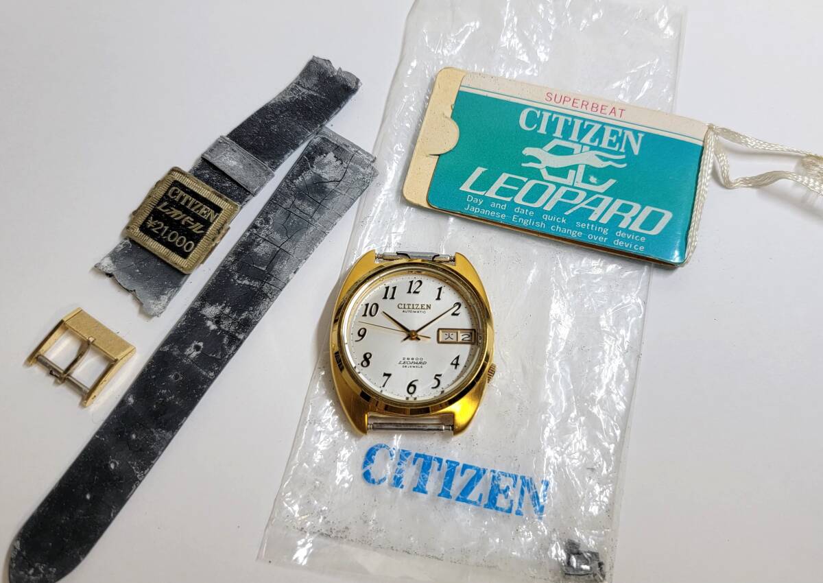 Результаты поиска для «(citizen シチズン) (leopard レオパール
