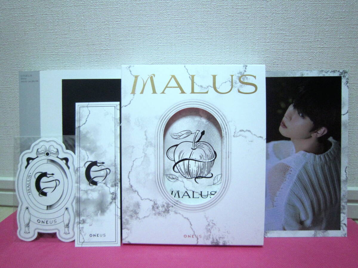 Oneus malus