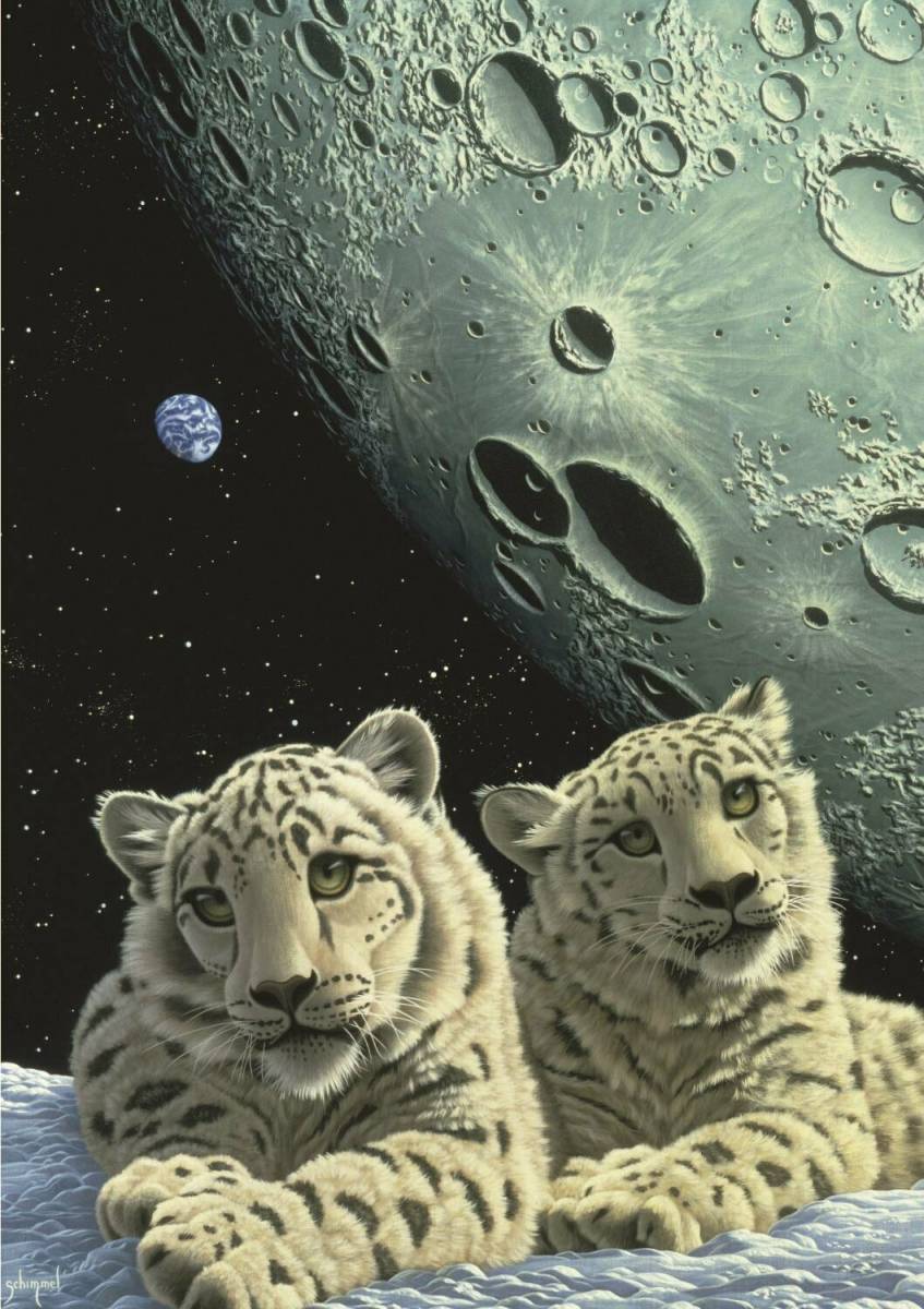 24254210_4