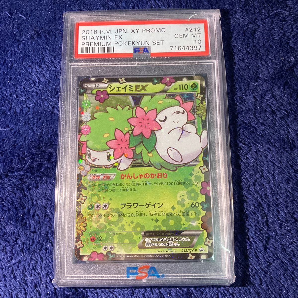 PSA10鑑定済〕ポンチョを着たピカチュウ【P】{208/XY-P}