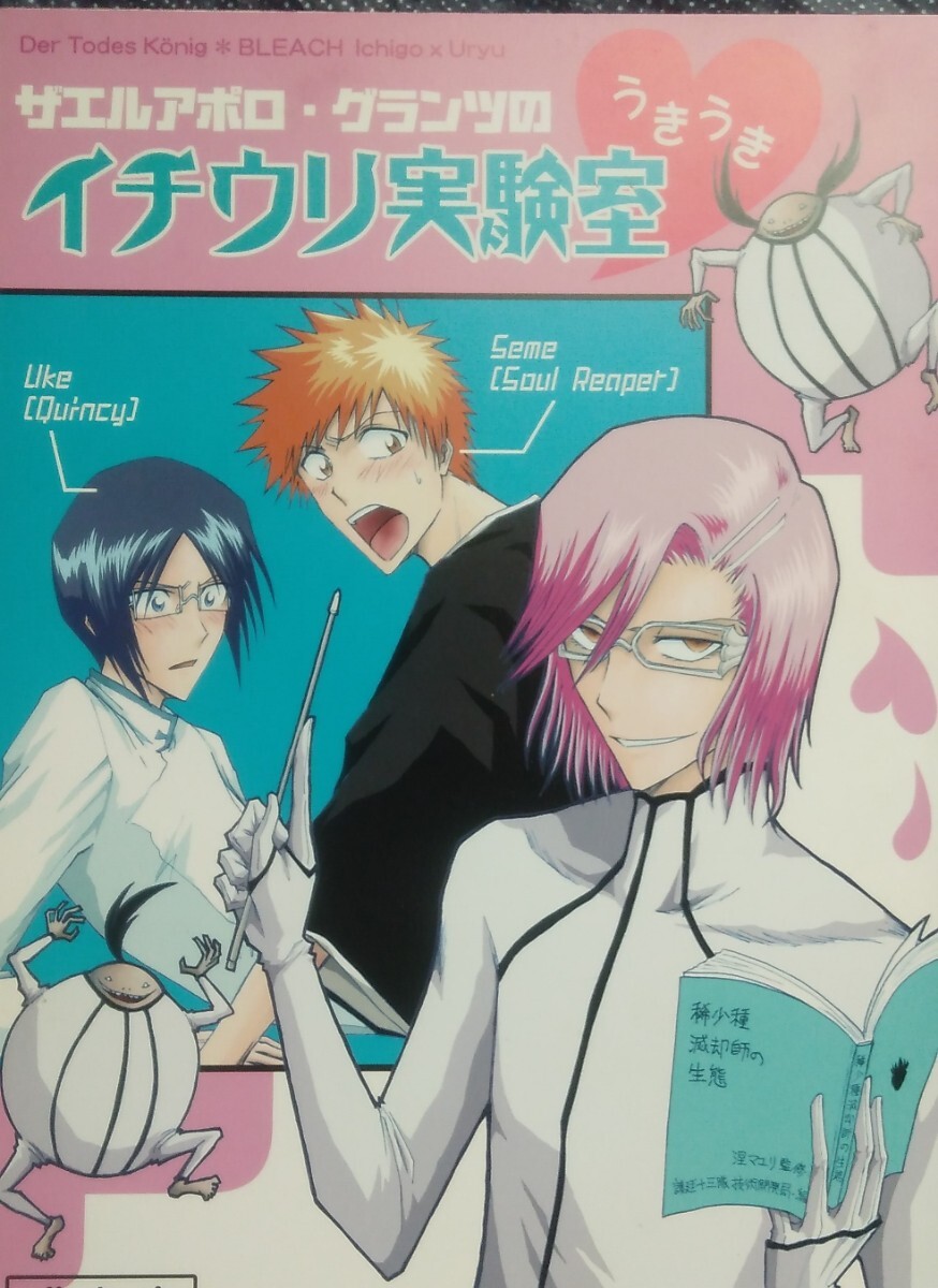 bleach(同人誌)ブリーチ