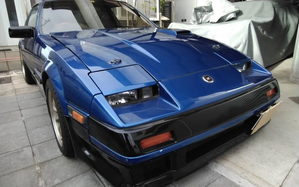 Z31