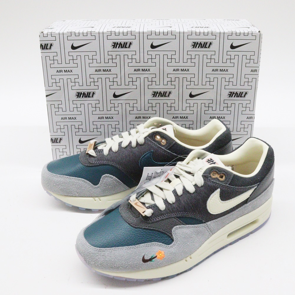 KASINA × NIKE AIR MAX 1