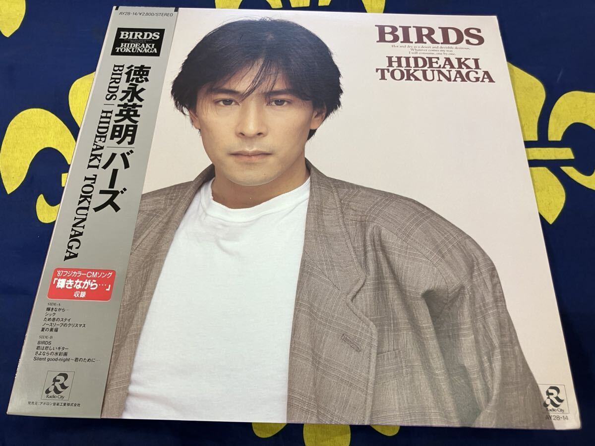 2026年最新Yahoo!オークション -徳永英明 レコードの中古品・新品